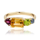 Radiant Multi-Gemstone Dress Ring in 9ct Yellow Gold from LeGassick.