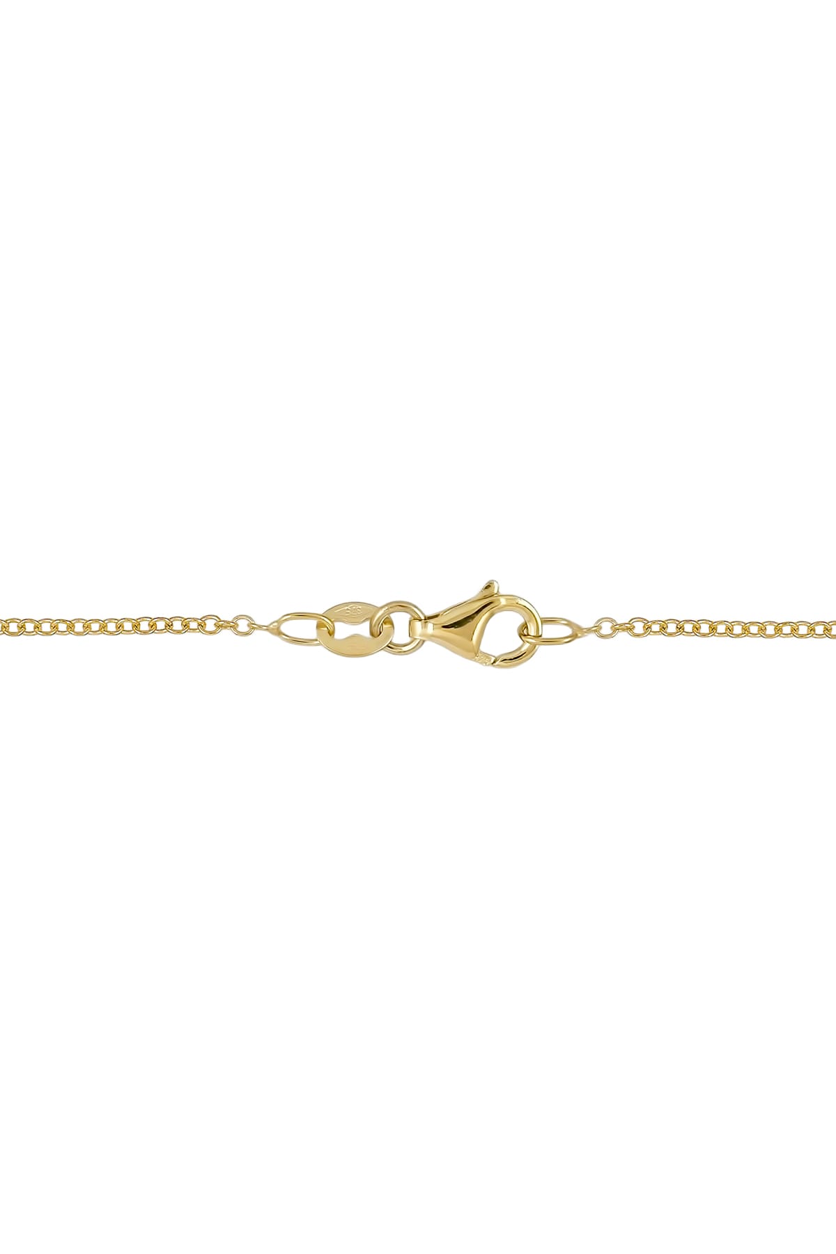 Gold chain with clasp on a white background