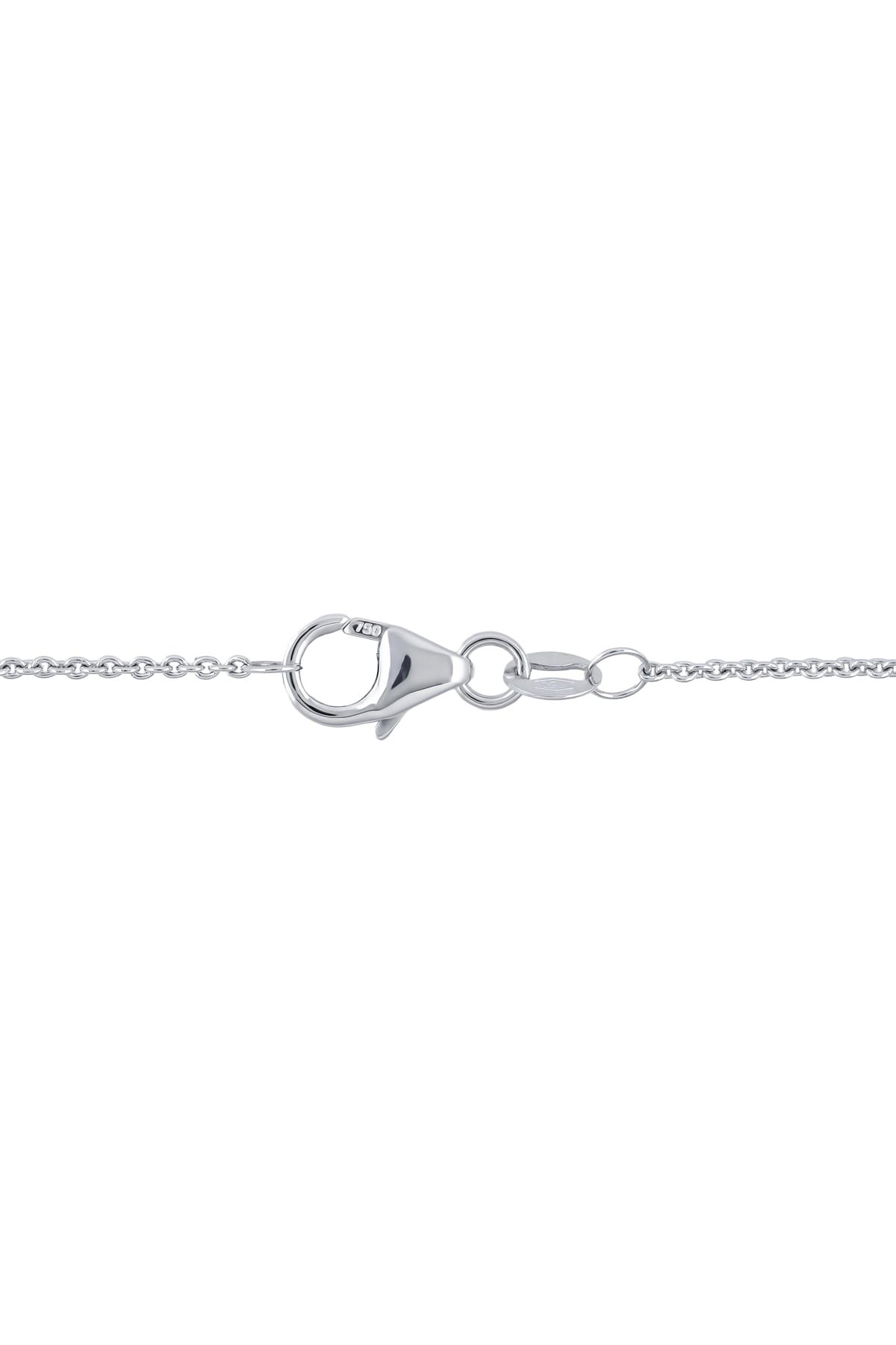 White Gold chain with clasp on a white background