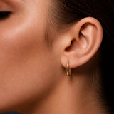 Paperclip Oval Huggie Earrings in 9ct Yellow Gold