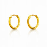 Pair of gold hoop earrings on a white background