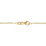 Gold chain with clasp on a white background