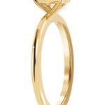 Yellow Gold 0.50ct Radiant Cut EVS2 Claw Set Diamond Ring from LeGassick Jewellery, Gold Coast, Australia.