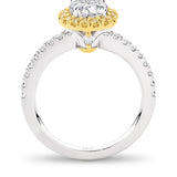 Lucy is a stunning 1 carat white diamond ring with a yellow diamond halo. Part of the Beyond Luxury Collection from LeGassick.
